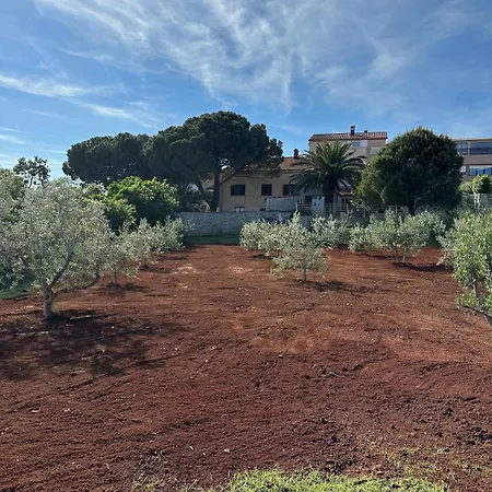 Fragrances Of Istria - The Olives - On The Sea Of Stoia 아파트 풀라