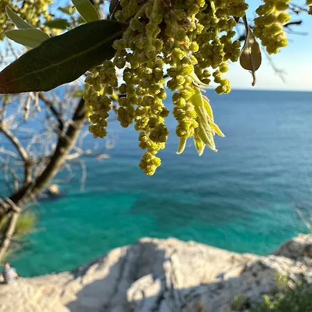 Fragrances Of Istria - The Olives - On The Sea Of Stoia Апартаменты *