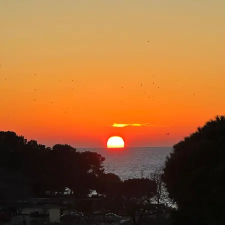 Fragrances Of Istria - The Olives - On The Sea Of Stoia * 풀라